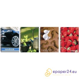 KOŁOBRULION GRAND B5/160K KRATKA