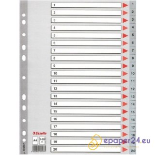 PRZEKŁADKI PP ESSELTE A4 1-20