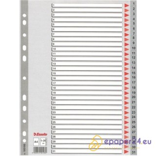PRZEKŁADKI PP ESSELTE A4 1-31