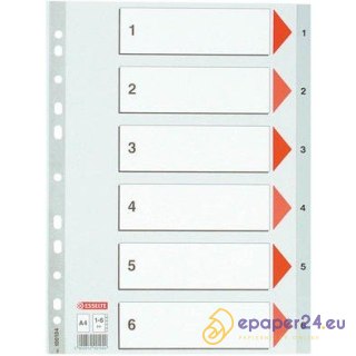 PRZEKŁADKI PP ESSELTE A4 1-6 SZARE