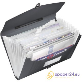 TECZKA ESSELTE VIVIDA 12 PRZEGRÓDEK CZARNA