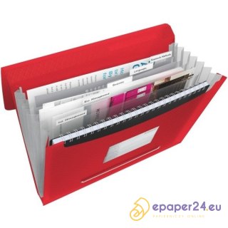 TECZKA ESSELTE VIVIDA 6 PRZEGRÓDEK CZERWONA