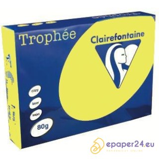Papier Trophee A4/80g słoneczny (500)