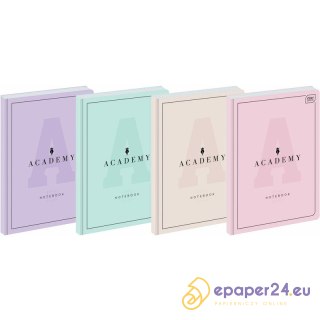 Brulion Interdruk Academy Pastel A5/96k kratka