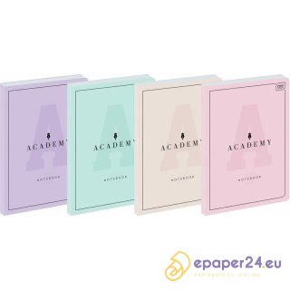 Brulion Interdruk Academy Pastel B5/128k kratka