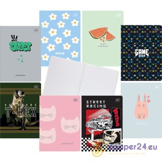 Zeszyt Interdruk A5/16k kratka