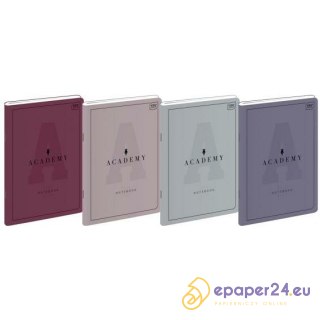Zeszyt Interdruk Academy A5/60k kratka