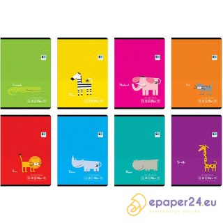 Zeszyt Interdruk B&B Kids Pastel A5/16k linia