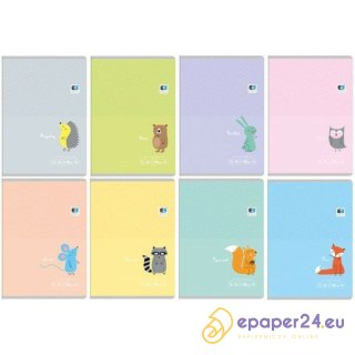 Zeszyt Interdruk B&B Kids Pastel A5/32k linia