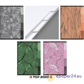 Zeszyt Top 2000 Form A5/80k kratka