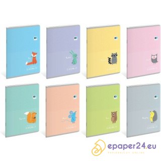 Zeszyt Interdruk B&B Kids Pastel A5/16k kratka