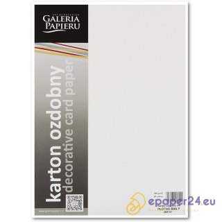 Karton ozdobny Galeria Papieru A4/240g Płótno biały (20)