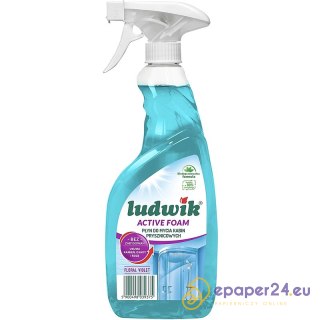 Pianka Ludwik 600ml do czyszczenia kabin prysznicowych