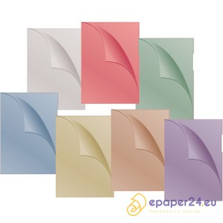 Obwoluta DONAU typu L, PP, A4, groszkowa, 120mikr.